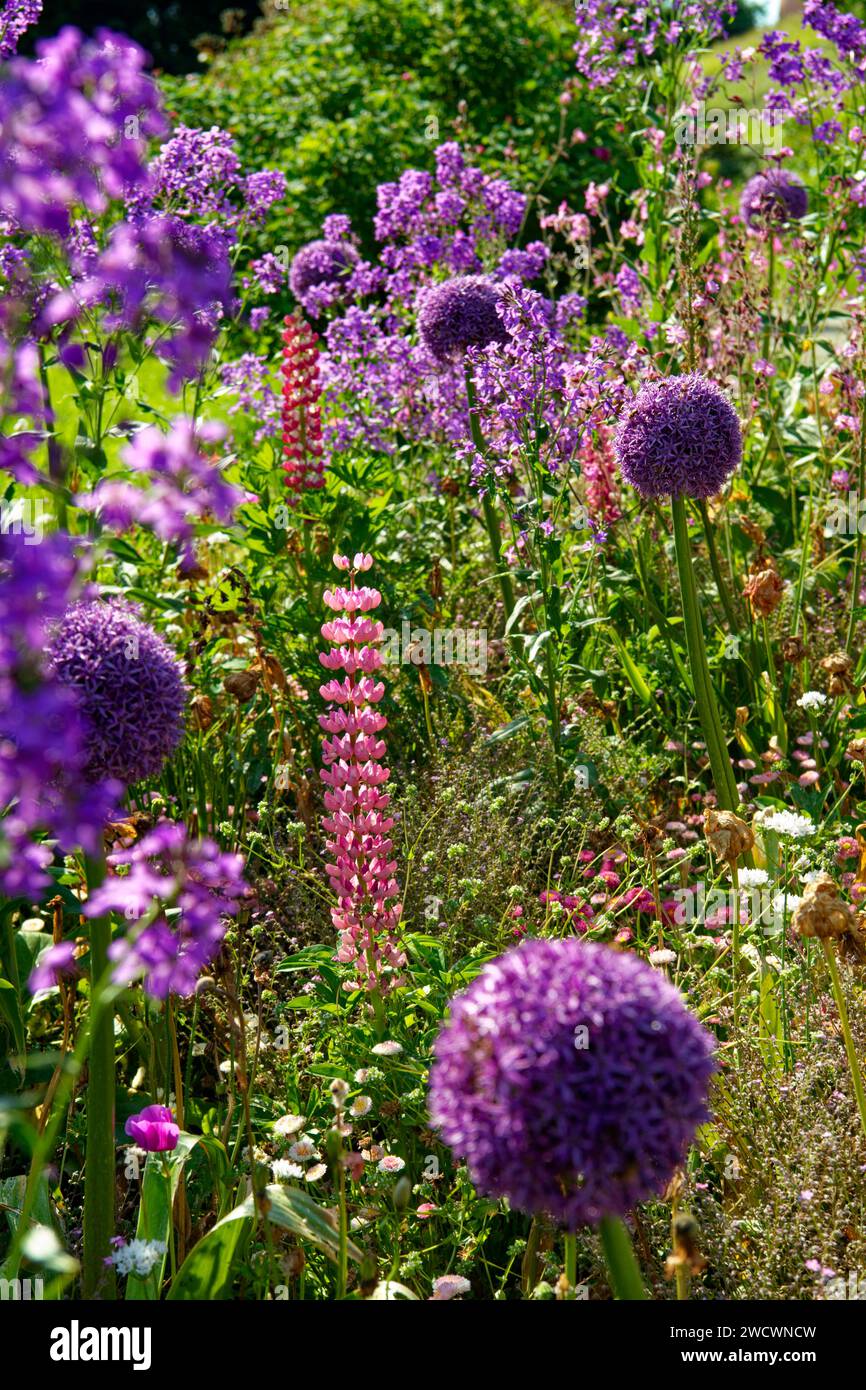 Alemania, Bade Wurtemberg, Lago Constanza (Bodensee), Isla Mainau, isla jardín en el Lago Constanza Foto de stock