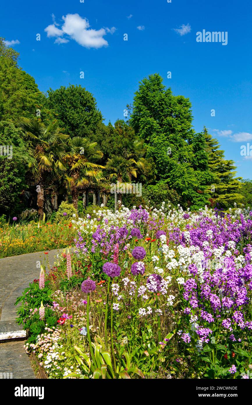 Alemania, Bade Wurtemberg, Lago Constanza (Bodensee), Isla Mainau, isla jardín en el Lago Constanza Foto de stock