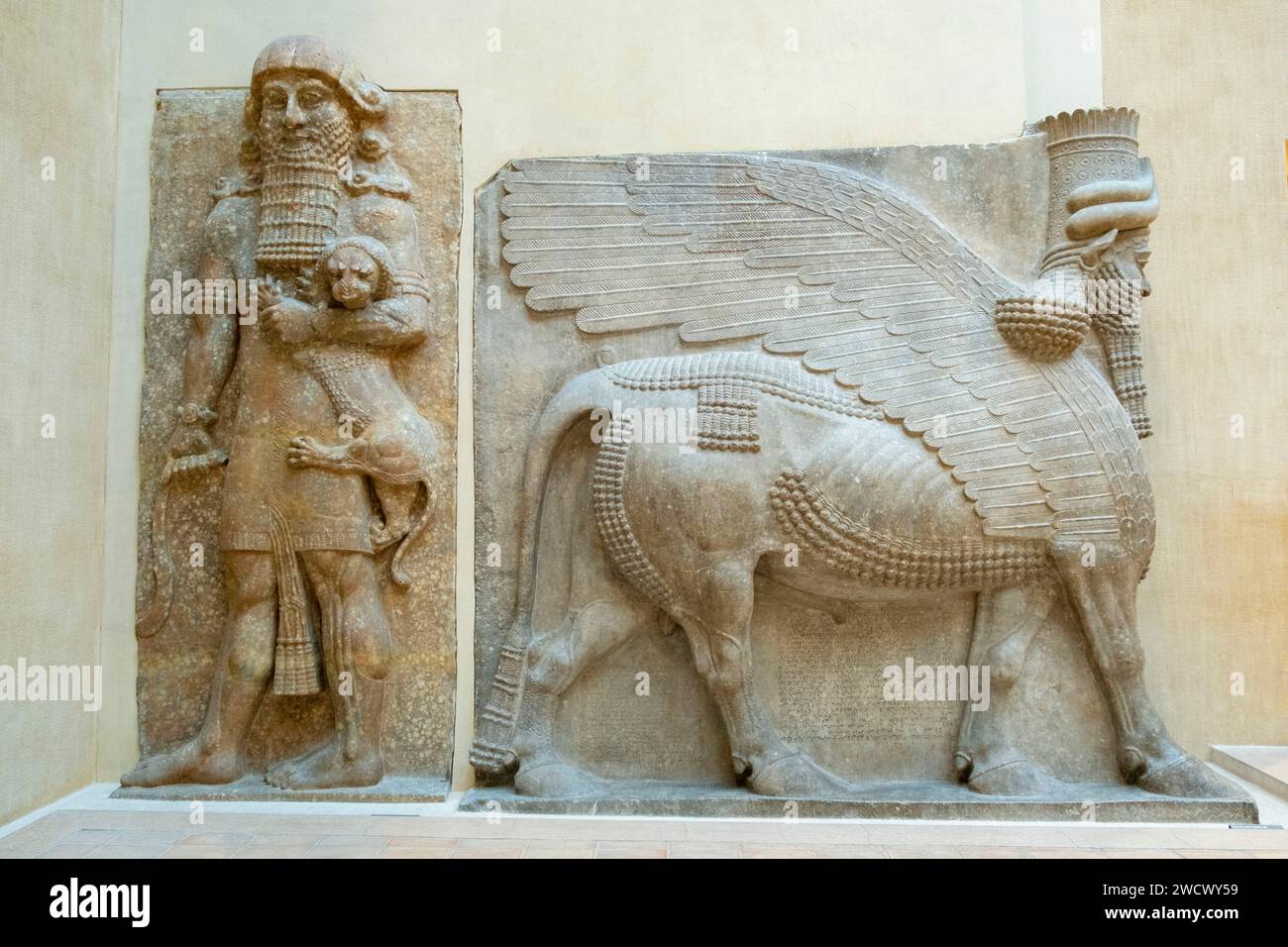 Francia, París, el museo del Louvre, departamento de Antigüedades Orientales, Ala Richelieu, sala 239, Corte de Khorsabad, Lamassus del Palacio de Khorsabad, Toro Androcefálico alado, período neo-asirio Foto de stock