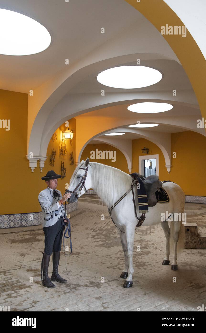 España, Andalucía, Jerez de la Frontera, real escuela andaluza de arte ecuestre, jinete en traje de Goyesco junto a un caballo blanco en los establos abovedados Foto de stock