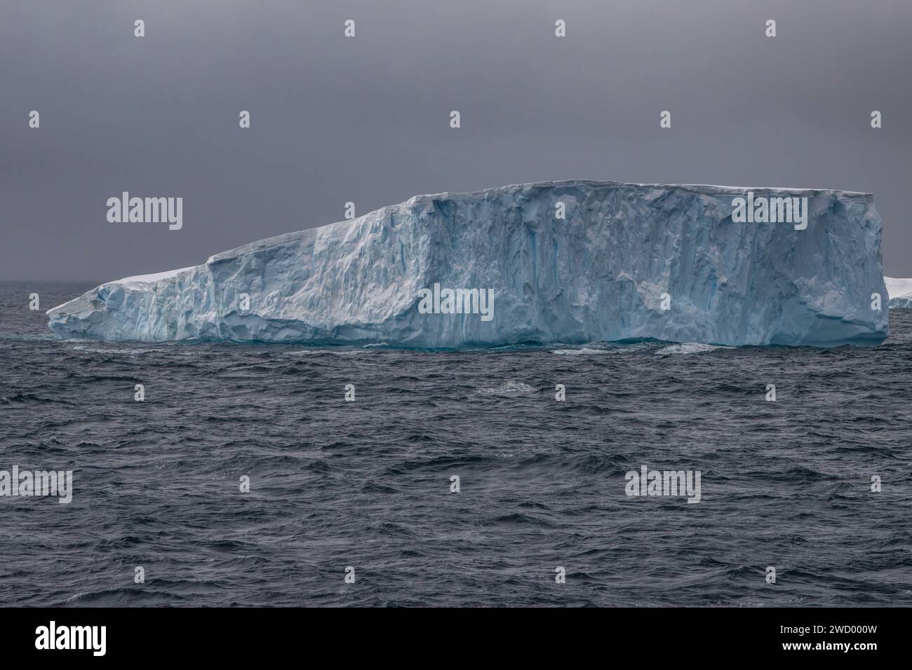 Icebergs Brialmont Cove, Antártida, Península Antártica, Numerosas bergs debido a la ruptura de la plataforma de hielo Antártico, esculpida y formada por el océano Foto de stock