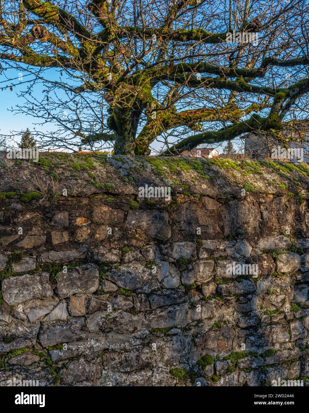 Las paredes de piedra seca cubiertas de musgo rodean las casas privadas. Saint-Quentin-Fallavier, departamento de Isère, Rhône región de Auvernia-Ródano-Alpes, Francia, Europa Foto de stock