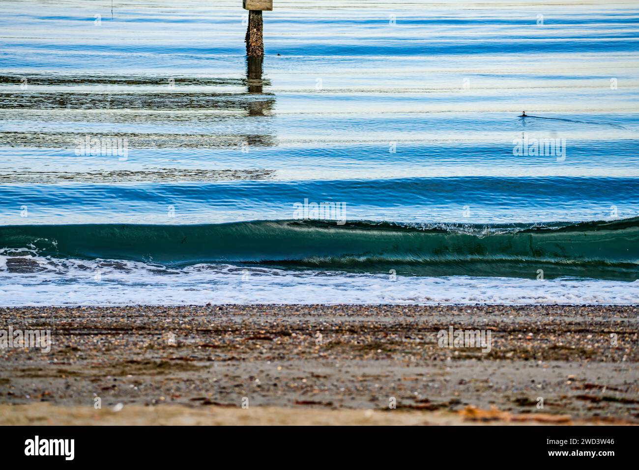 Una vista de una ola de ruptura en Dash Point, Washington. Foto de stock