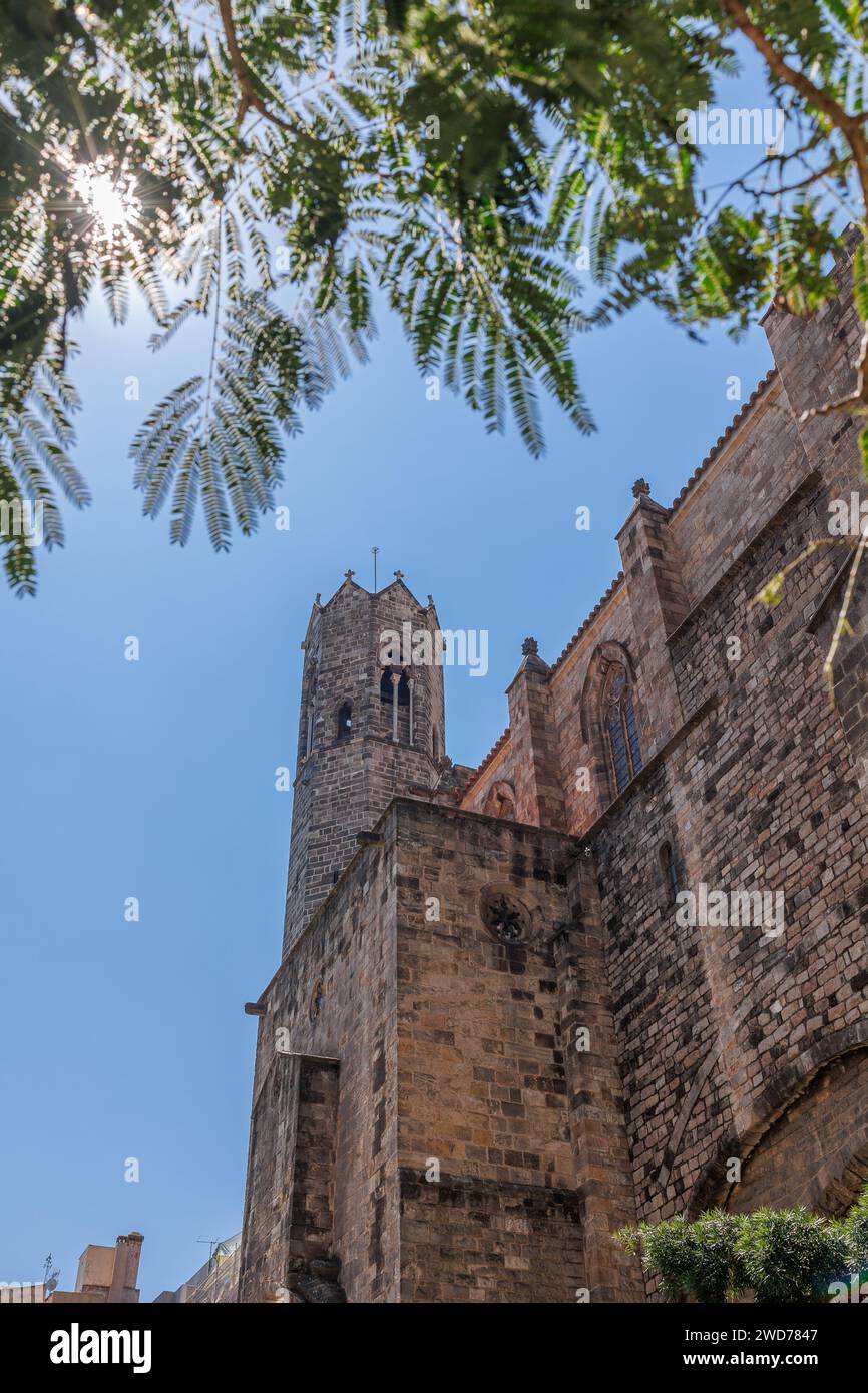 Plaza del Rei, Plaza del Rey, una plaza pública medieval del siglo 14th en el Barri Gòtic de Barcelona, Cataluña, España. Foto de stock