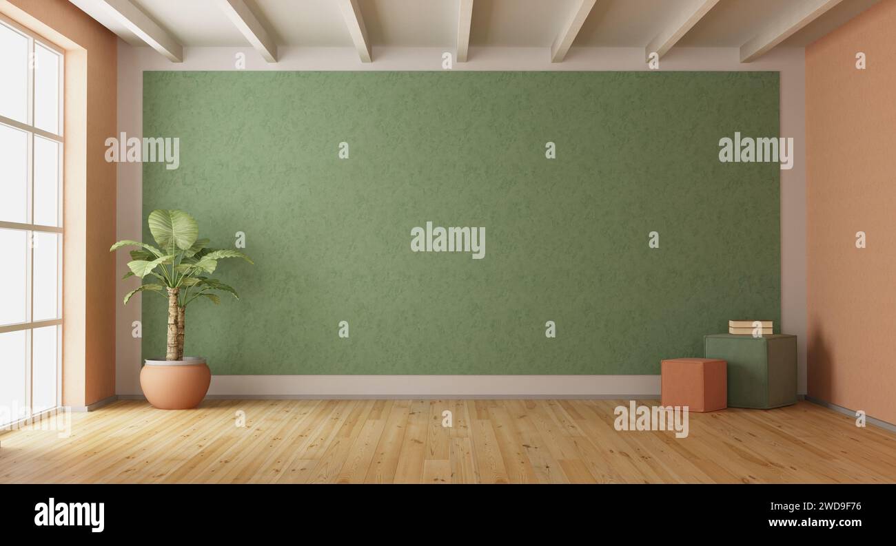 Habitación vacía con paredes fuzz verdes y melocotón, planta de interior y piso de madera - 3d renderizado Foto de stock