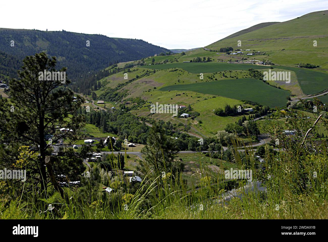 JULIAETTA/IDAHO /USA Áreas residenciales y colinas juliaetta juliaetta