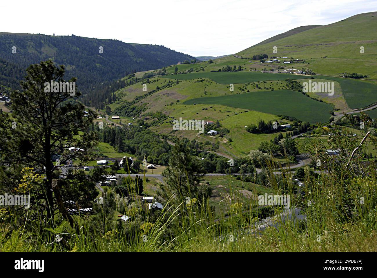 JULIAETTA/IDAHO /USA Áreas residenciales y colinas juliaetta juliaetta