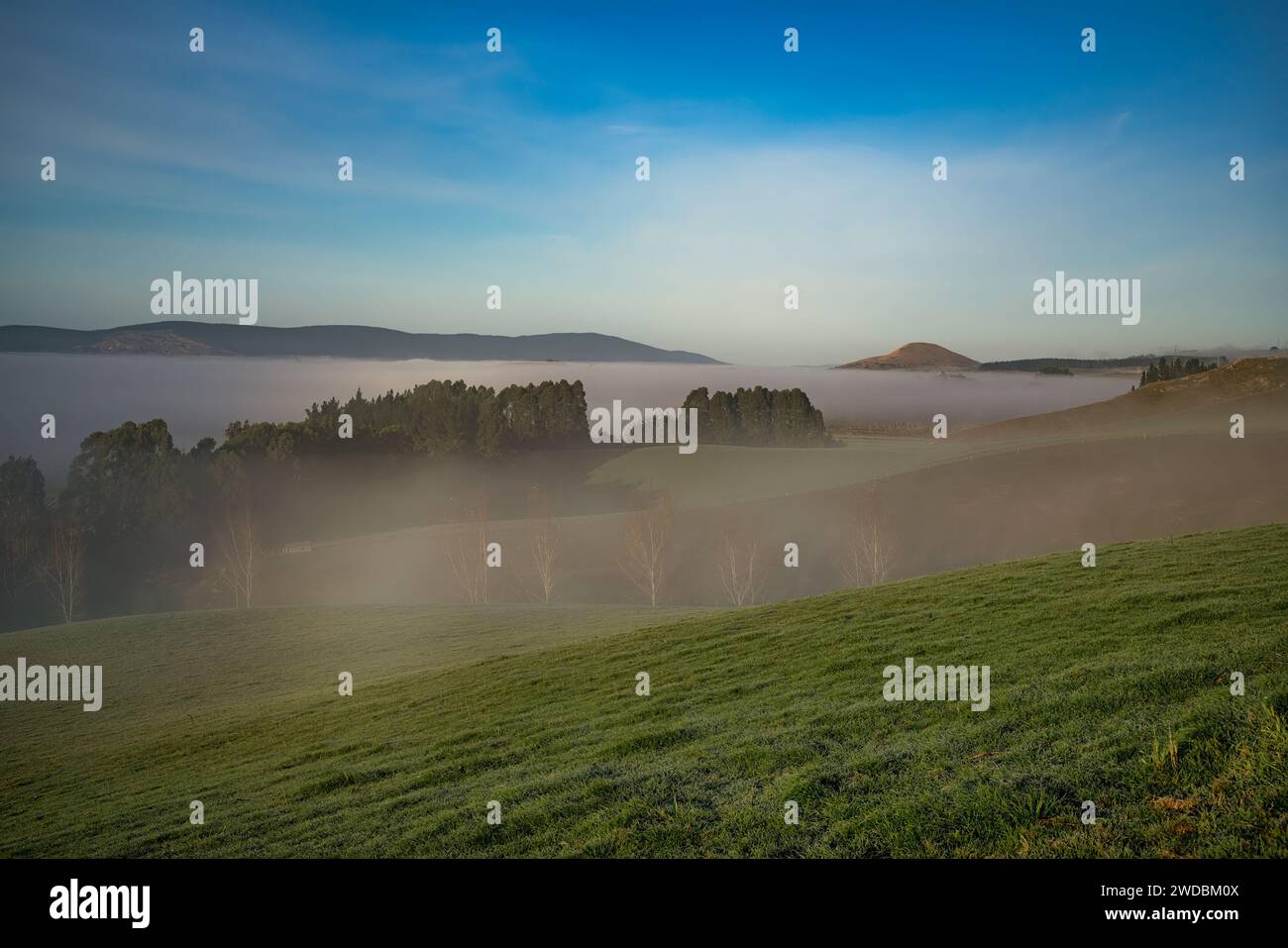 Las colinas rurales de Berwick (al suroeste de Dunedin) al amanecer en un día helado con baja niebla y niebla rodando a través de los valles Foto de stock