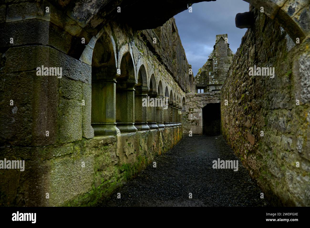 El claustro de Ross Errilly Friary, Condado de Galway, Irlanda Foto de stock