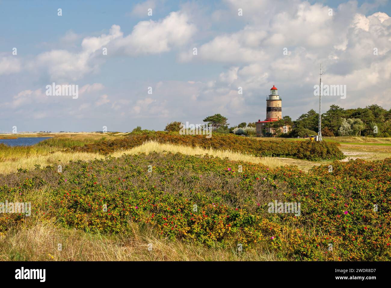 Península de Falsterbo y faro (Hotspot para migrantes) Foto de stock