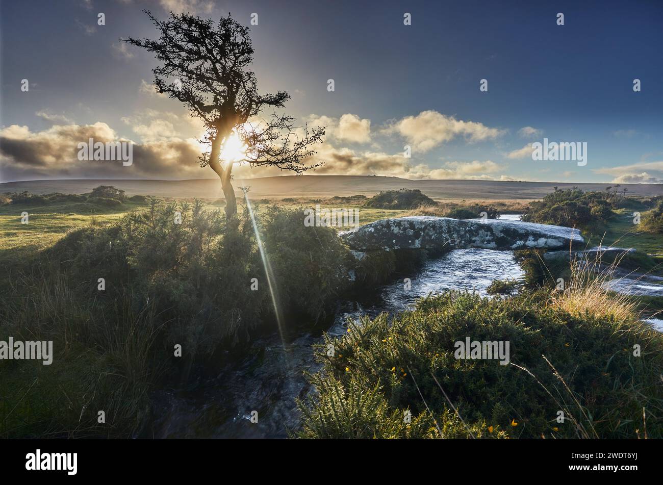 Un viejo árbol de espino nudoso silueta por el sol poniente, con un antiguo puente de piedra cruzando un arroyo cercano Foto de stock