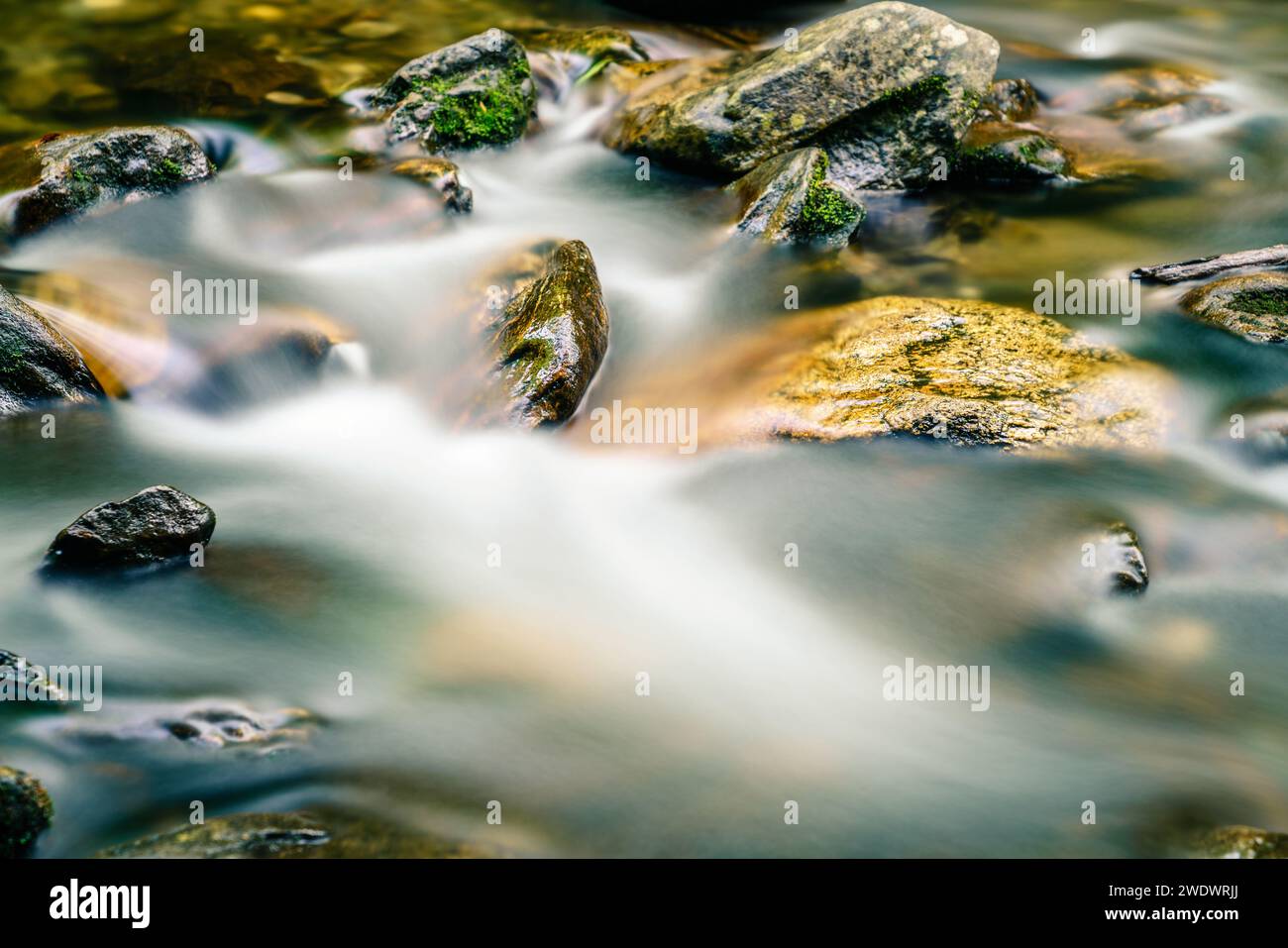 Imagen de larga exposición de agua que fluye alrededor de las rocas en un arroyo en Carolina del Norte Foto de stock