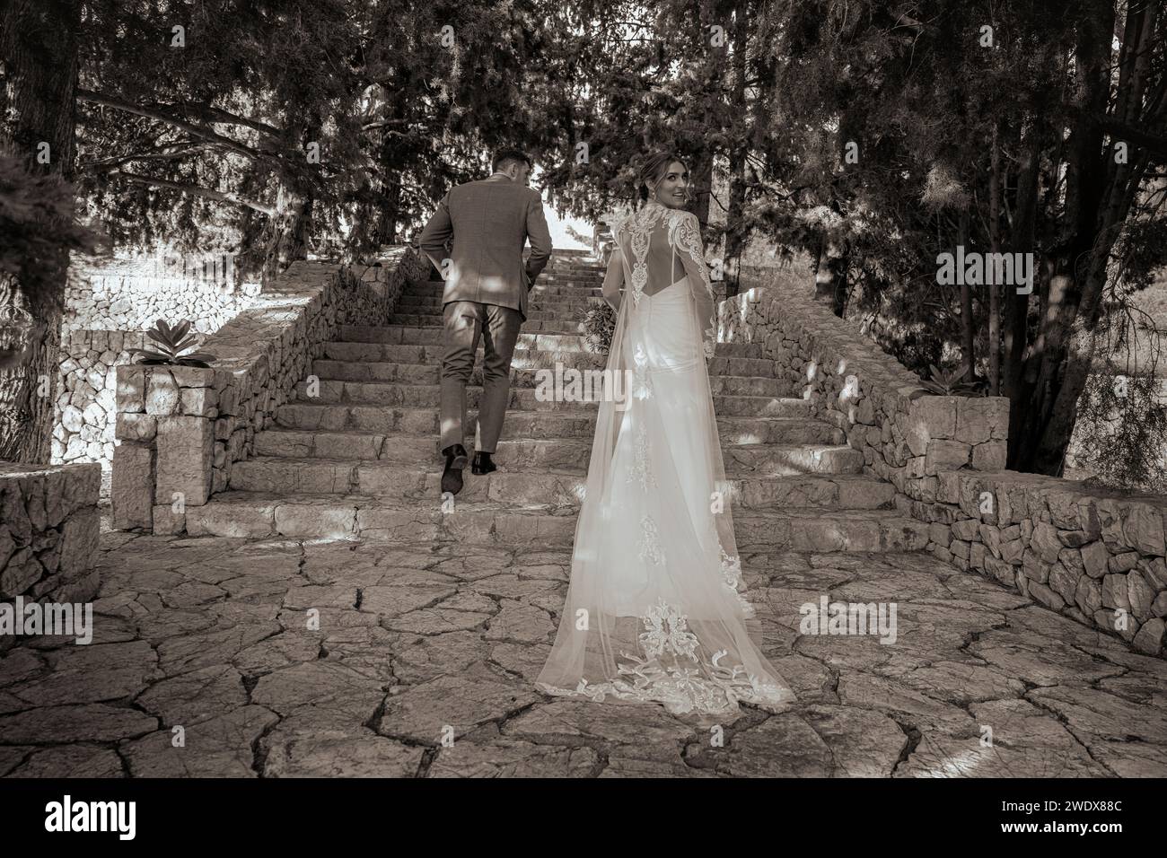 Pareja casada que se aleja, novia y novio que celebran su día de boda, novia mirando hacia atrás Foto de stock