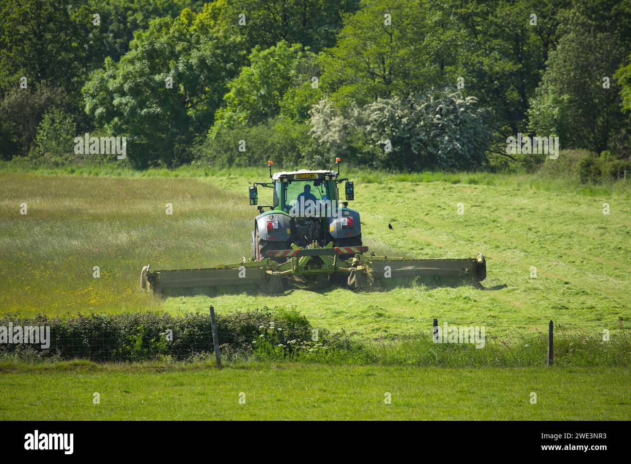 Un tractor y cortacésped que corta heno o ensilado en Devon, Reino Unido Foto de stock
