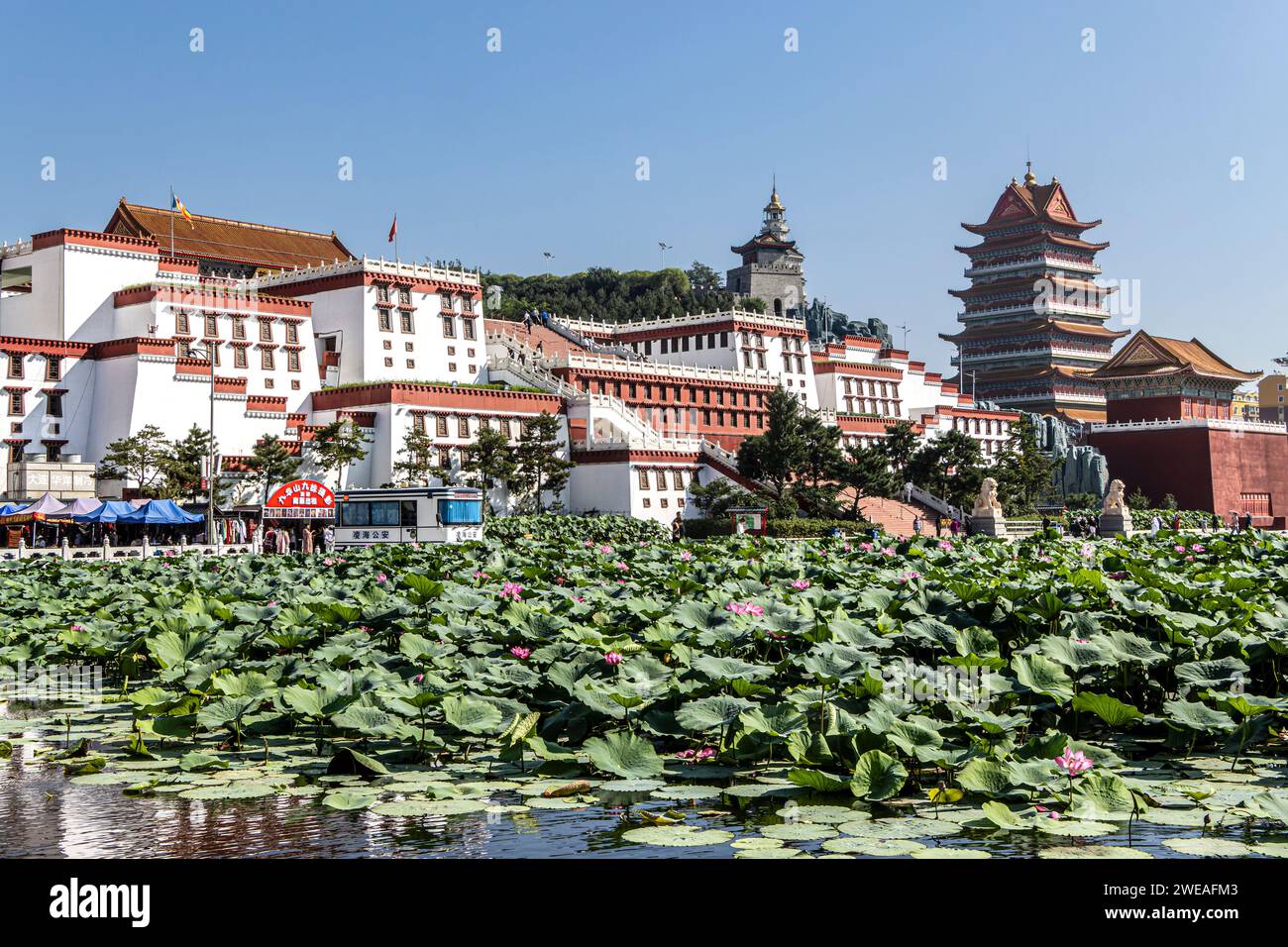Jinzhou, Jiuhua Montaña, Liaoning, Linghai, Pequeño Palacio Potala, República Popular de China, lirios de agua Foto de stock