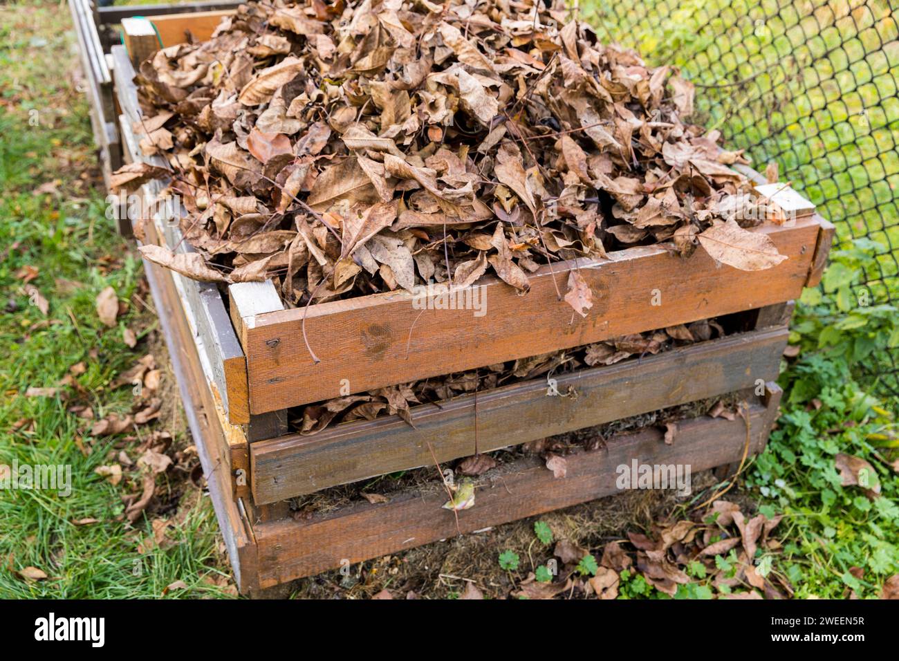 Un compostador hecho de tablas de madera llenas de hojas secas. Foto de stock