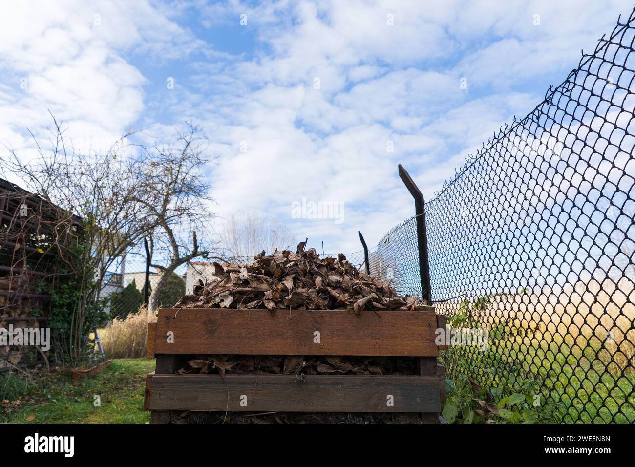 Un compostador hecho de tablas de madera llenas de hojas secas. Foto de stock