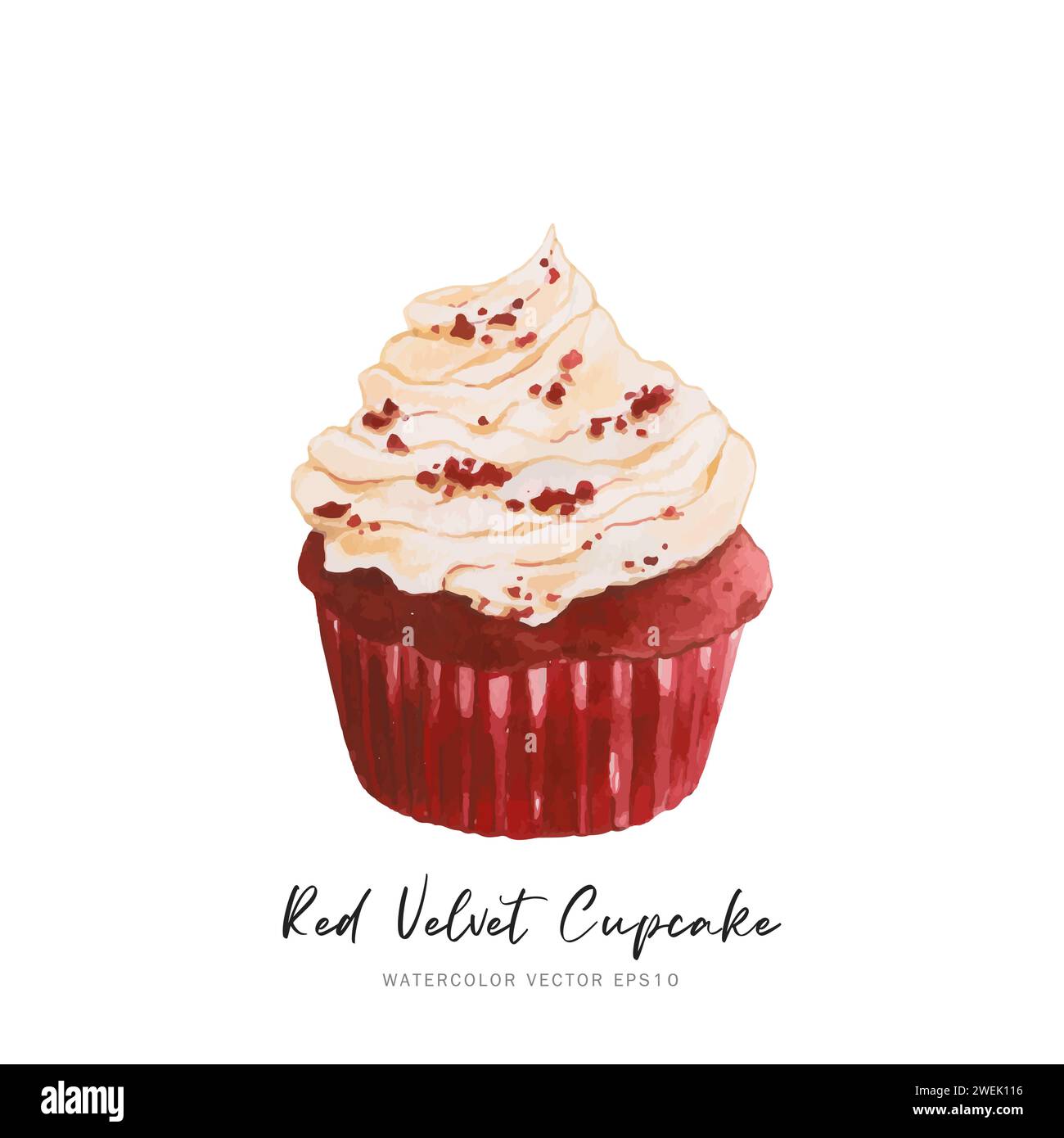 Postre de cupcake de terciopelo rojo, diseño vectorial de pintura de alimentos de acuarela aislado sobre fondo blanco Ilustración del Vector