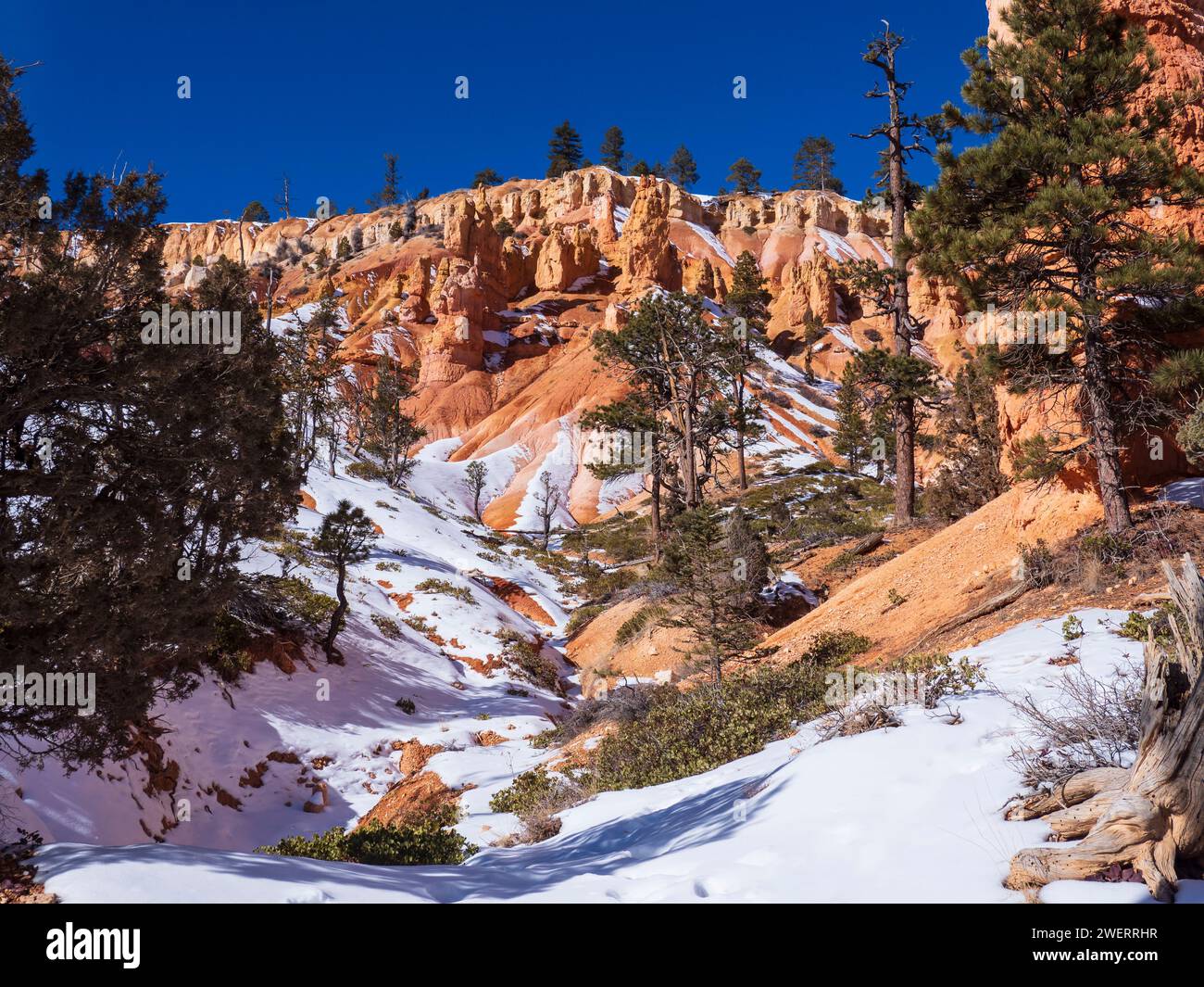 Anfiteatro Bryce de la ruta Queen's Garden Trail, invierno, Parque Nacional Bryce Canyon, Utah. Foto de stock