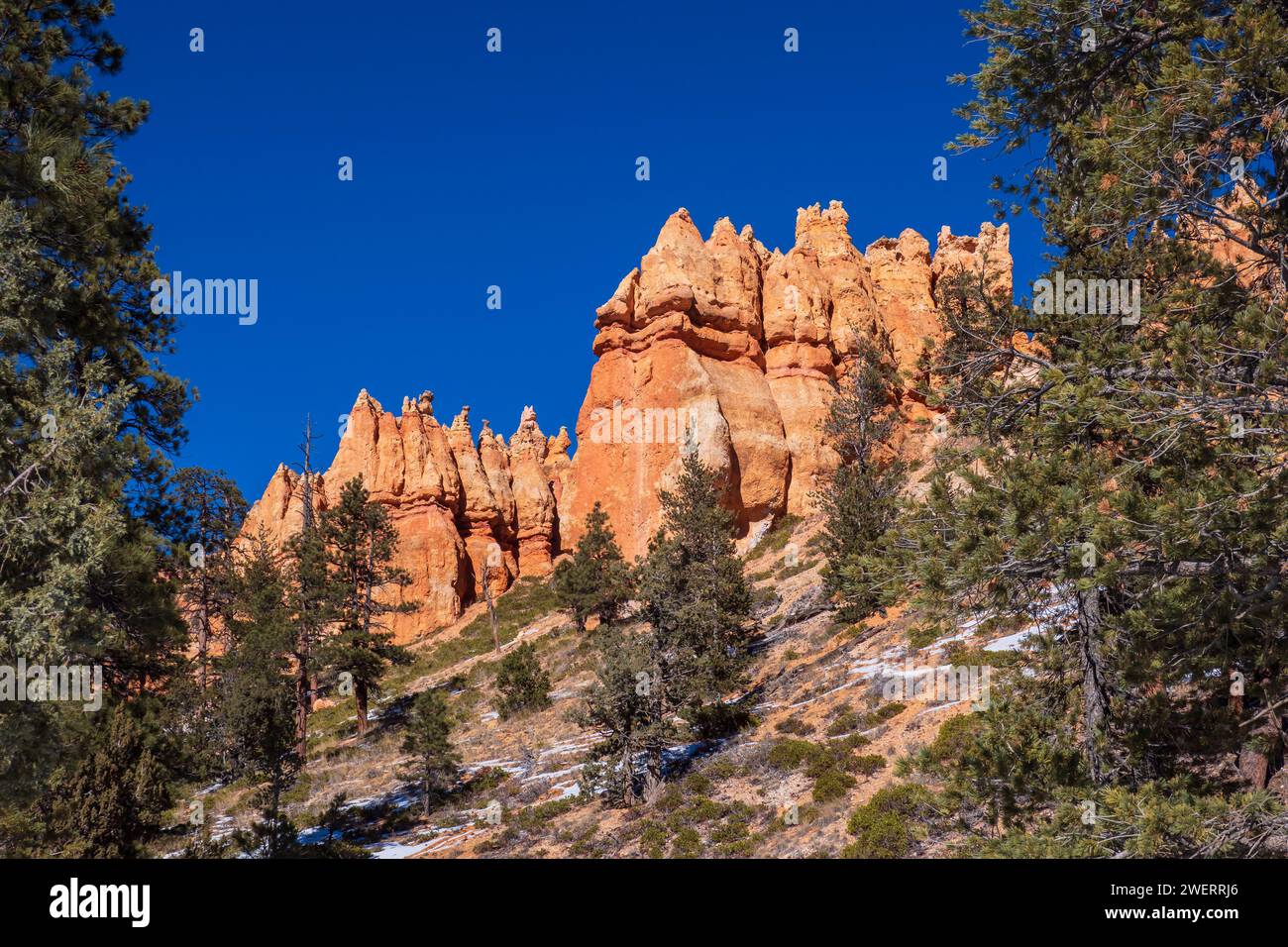 Anfiteatro Bryce de la ruta Queen's Garden Trail, invierno, Parque Nacional Bryce Canyon, Utah. Foto de stock