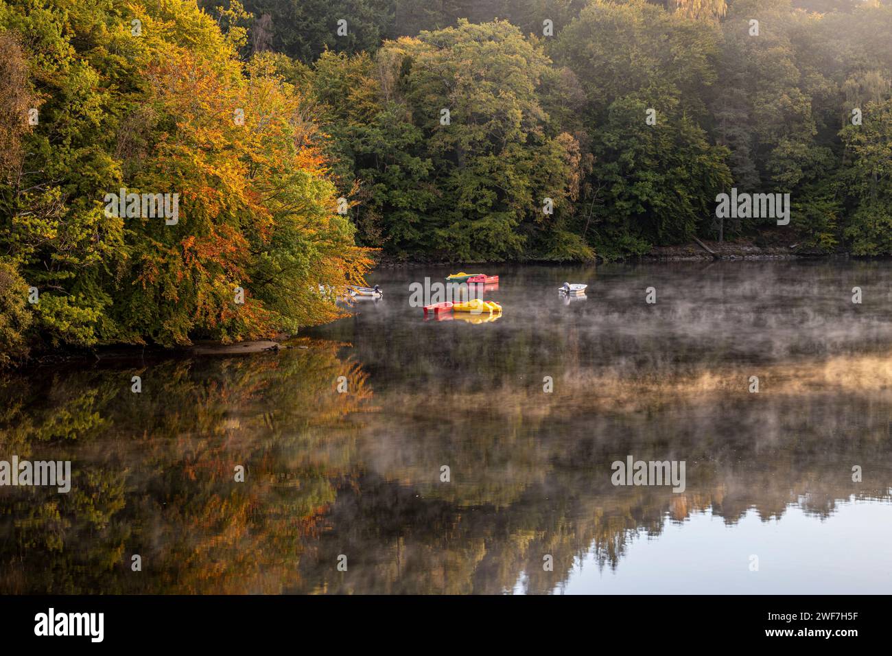 Pedalos amarrados en una bahía en Loch Faskally, Pitlochry Foto de stock