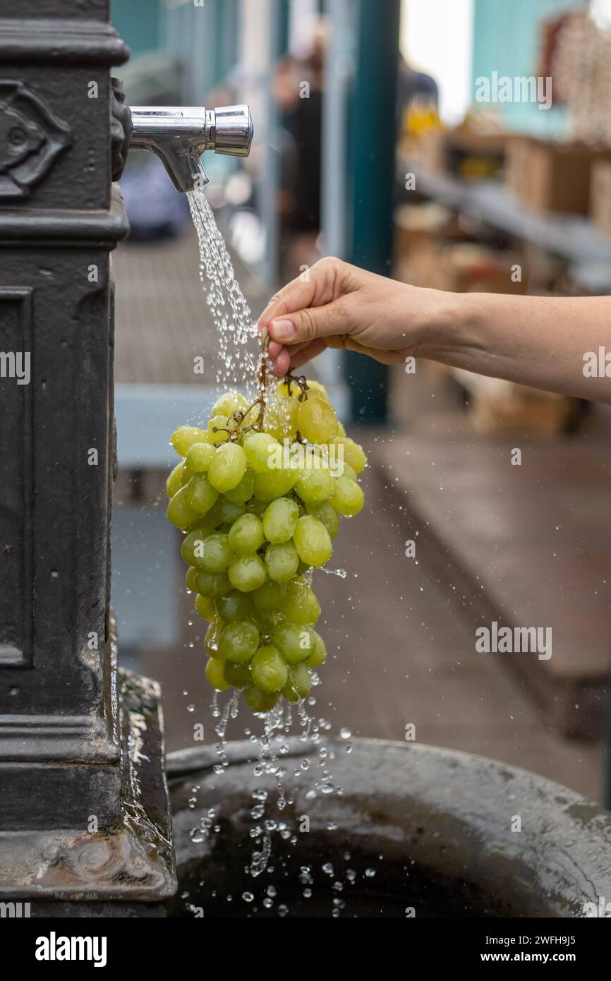 enjuagar un montón de uvas con agua en el mercado Foto de stock