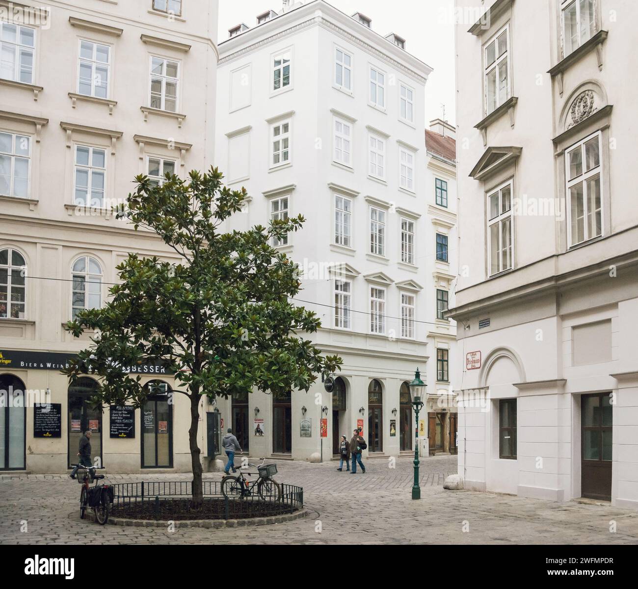 Desider-Friedmann-Platz Plaza en el centro de Viena. Fachadas de edificios del siglo XIX en zona peatonal en el distrito de Innere Stadt (casco antiguo). Foto de stock