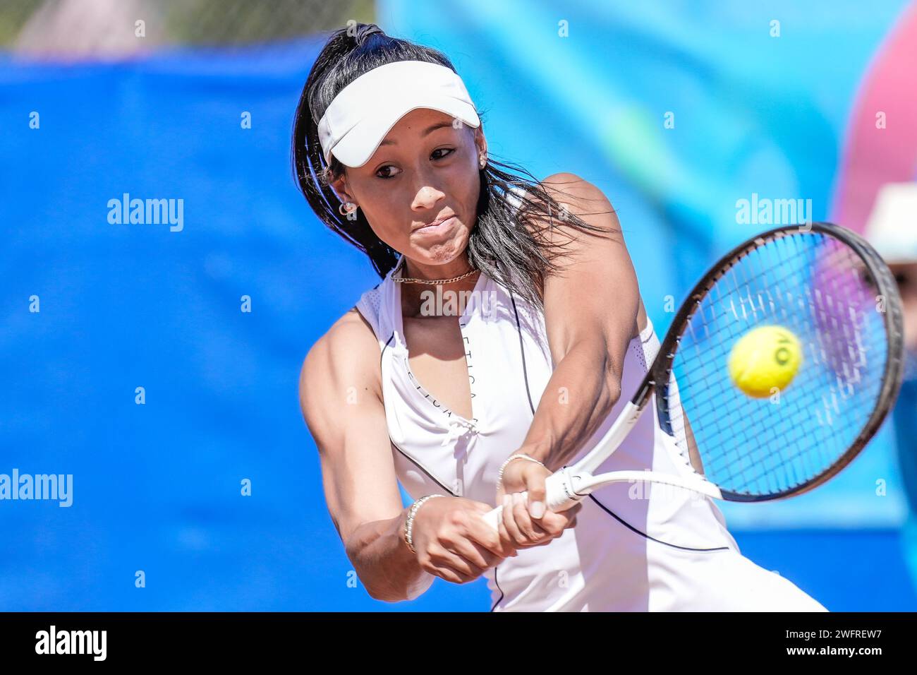 Priscilla Hon de Australia en acción durante la final del torneo #1 ITF W60 Canberra Claycourt International 2023 Foto de stock