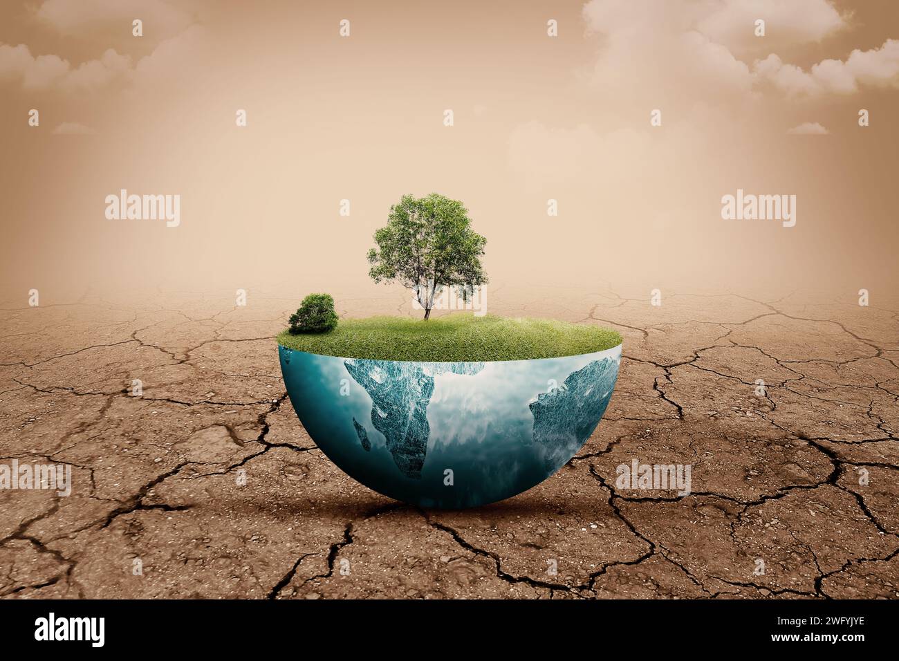 Un árbol crecido en tierra fértil con un fondo de campo de sequía. Concepto de medio ambiente y cambio climático Foto de stock