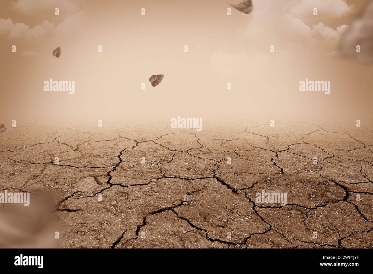 Campos de sequía con polvo debido al cambio climático extremo. Concepto de medio ambiente y cambio climático Foto de stock