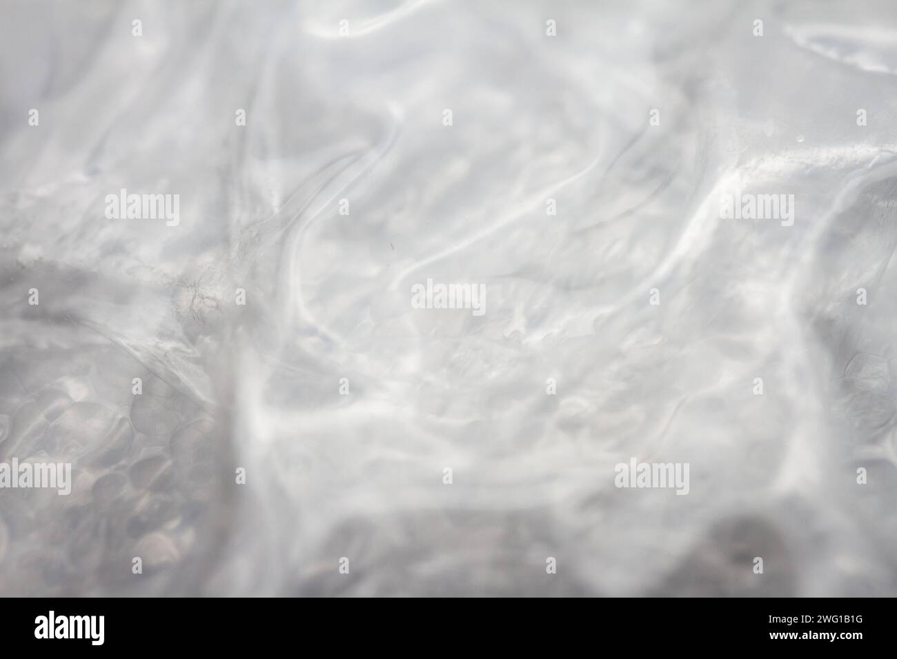 Papel burbuja fotografías e imágenes de alta resolución - Alamy