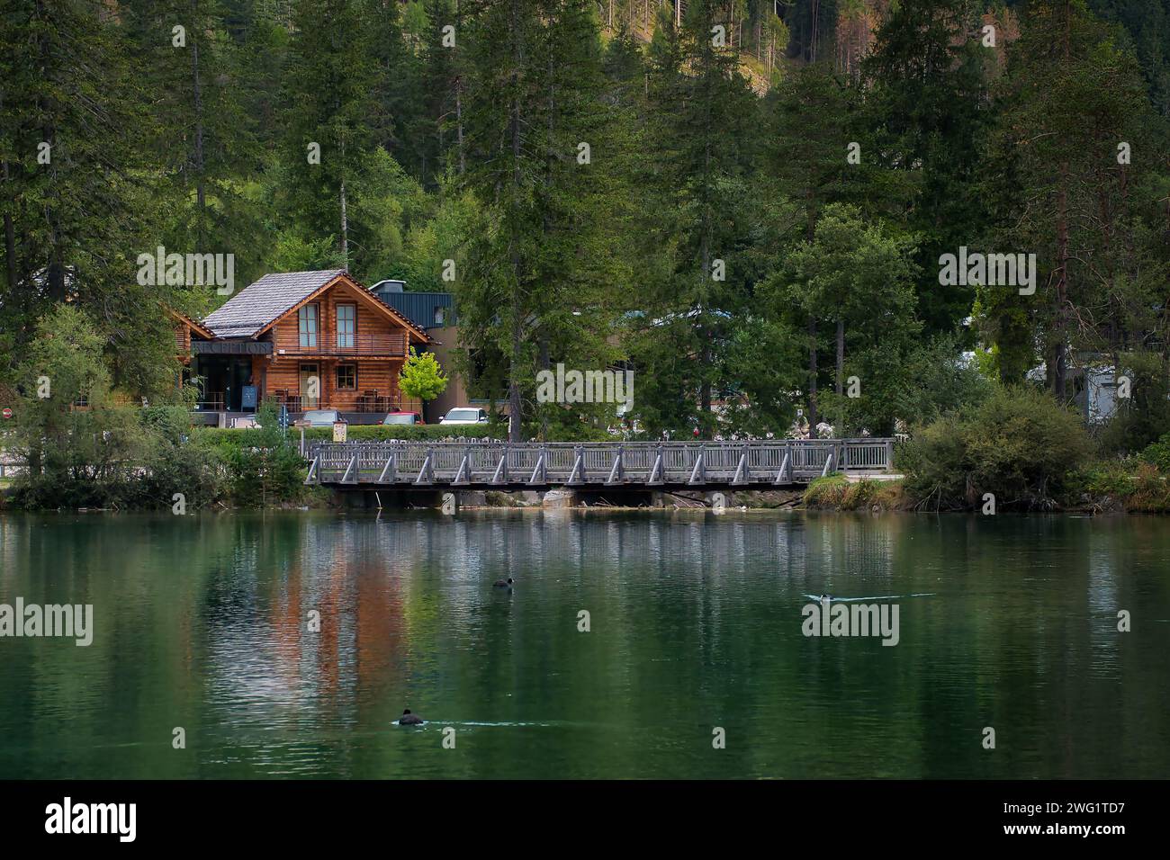 Un pájaro flotando cerca de una casa en el agua: Lago di Dobbiaco, Tirol del Sur, Italia Foto de stock