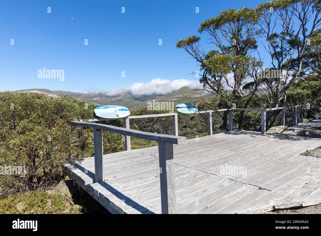 Plataforma de observación de las gomas de nieve en Charlotte Pass con