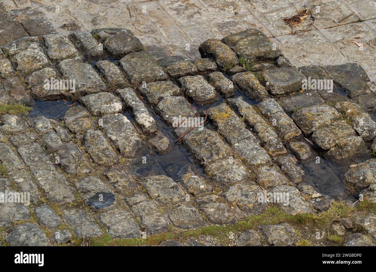 Pavimento teselado, en Pirates Bay, Tasmania. Una plataforma marina erosionada de piedra de seda persa. Foto de stock