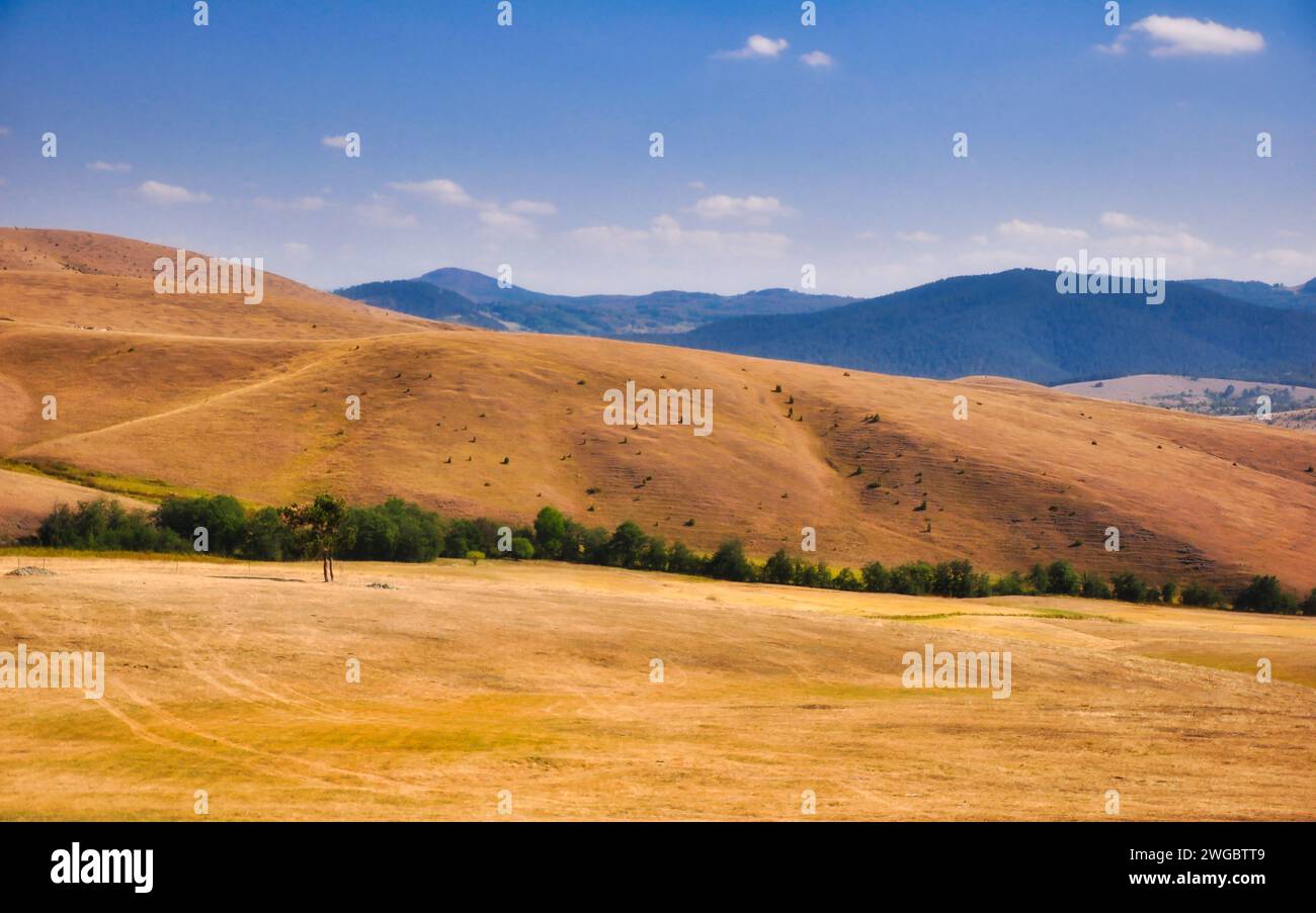 Paisaje de montaña dramático, Mt Zlatibor, Alpes Dináricos, Serbia Foto de stock