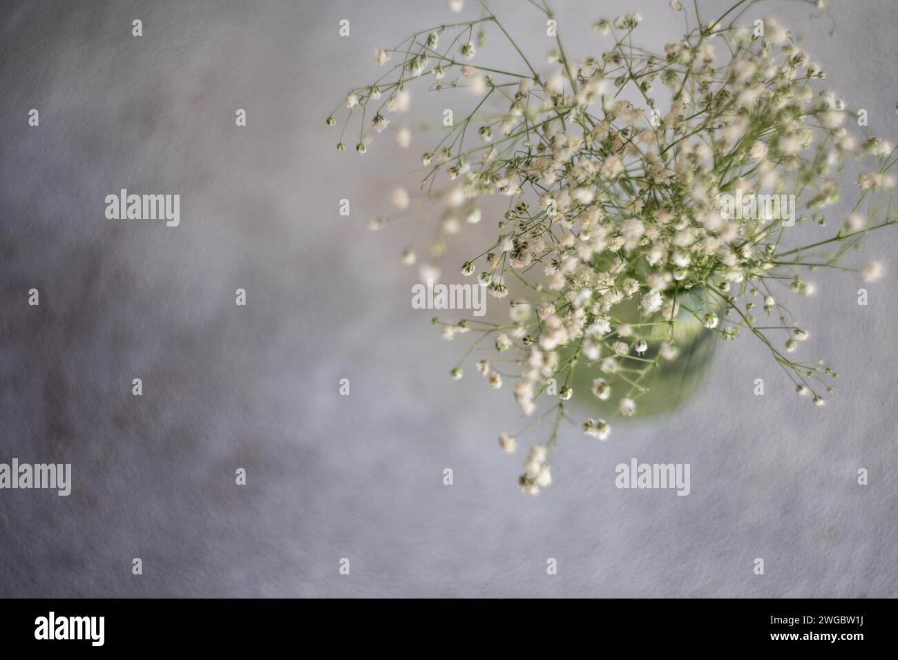 Vista aérea de un montón de flores blancas de Gypsophila en un jarrón de vidrio verde en una mesa Foto de stock