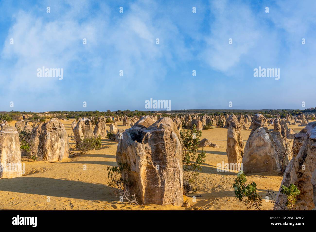 Las formaciones rocosas calizas de Pinnacles, Parque Nacional Nambung, Australia Occidental, Australia Foto de stock