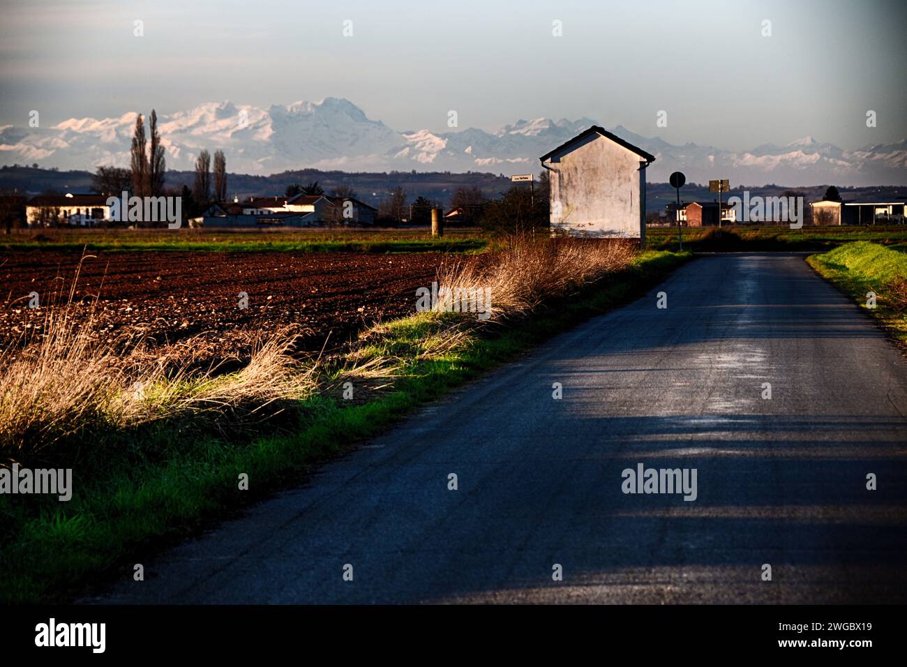 Camino recto hacia los Alpes, San Giuliano Vecchio, Alessandria, Piamonte, Italia Foto de stock