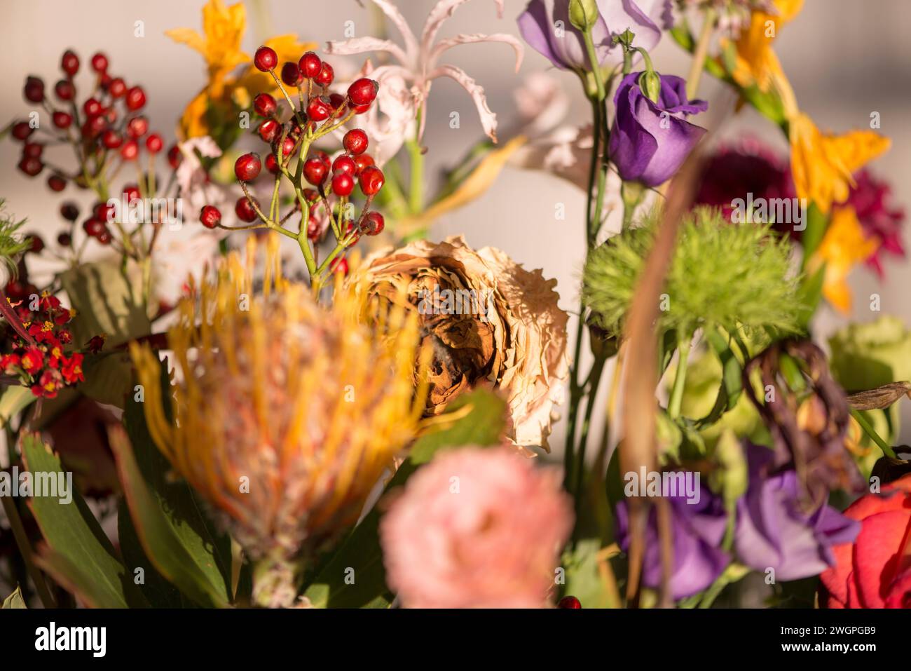Hermosas flores sentadas en un jarrón sobre una mesa. Arreglo floral de flores secas y frescas Foto de stock