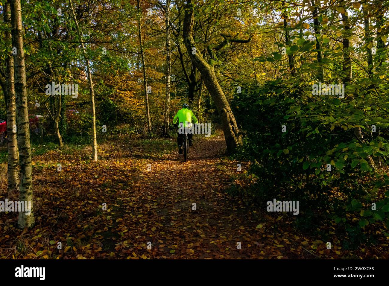 Color de otoño en Alexandra Park Foto de stock