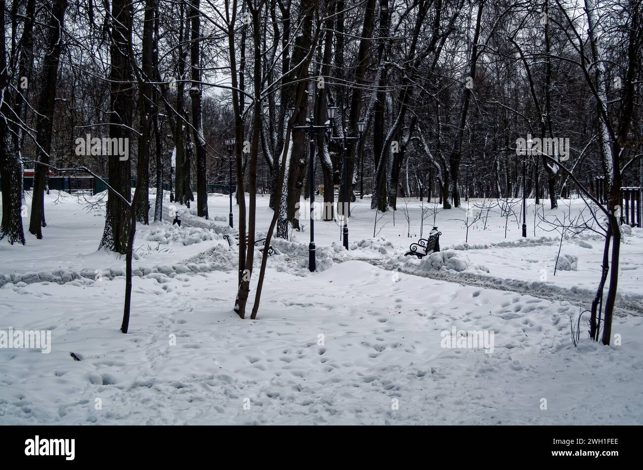 Caminos en un parque nevado en un día nublado, Moscú Foto de stock