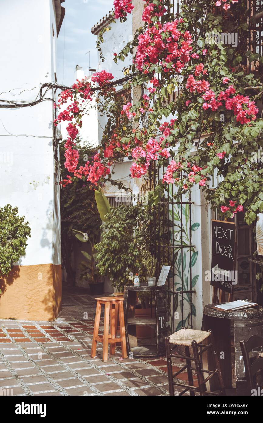 Un árbol de flores rosadas y signo en un encantador patio en Marbella, España Foto de stock