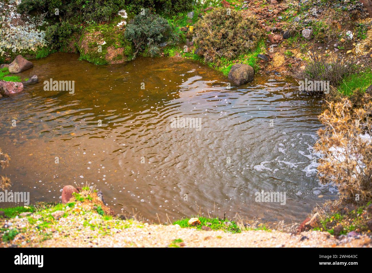 Una escena tranquila con un pequeño estanque con una suave cascada, creando un paisaje sereno y tranquilo rodeado de rocas y naturaleza Foto de stock