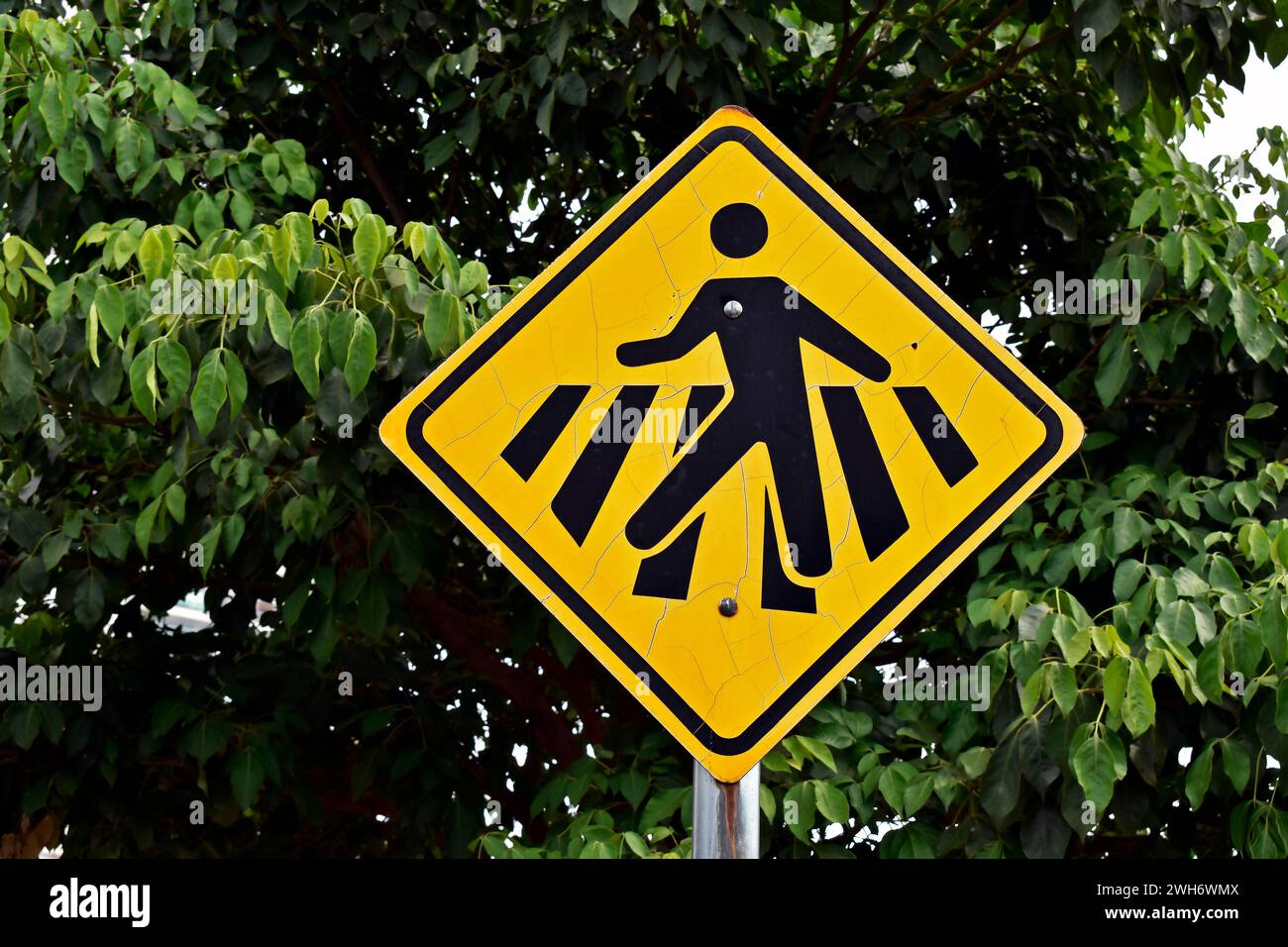 Señal de calle que indica el cruce peatonal en Ribeirao Preto, Sao Paulo, Brasil Foto de stock