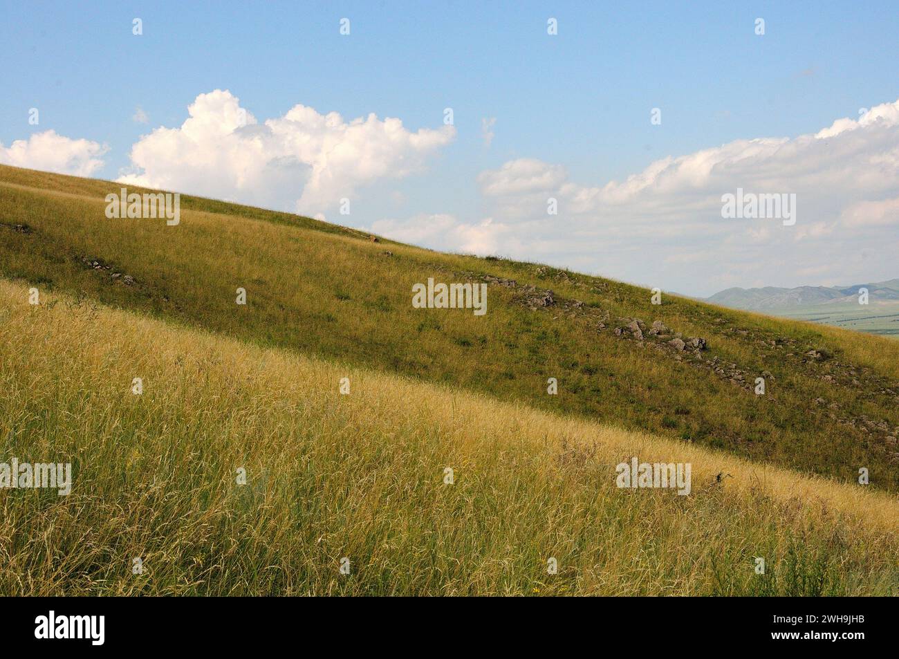 La suave pendiente de una colina alta cubierta de hierba con pequeñas formaciones de piedra bajo un cielo nublado de verano en un día claro. Khakassia, Siberia, Rusia. Foto de stock