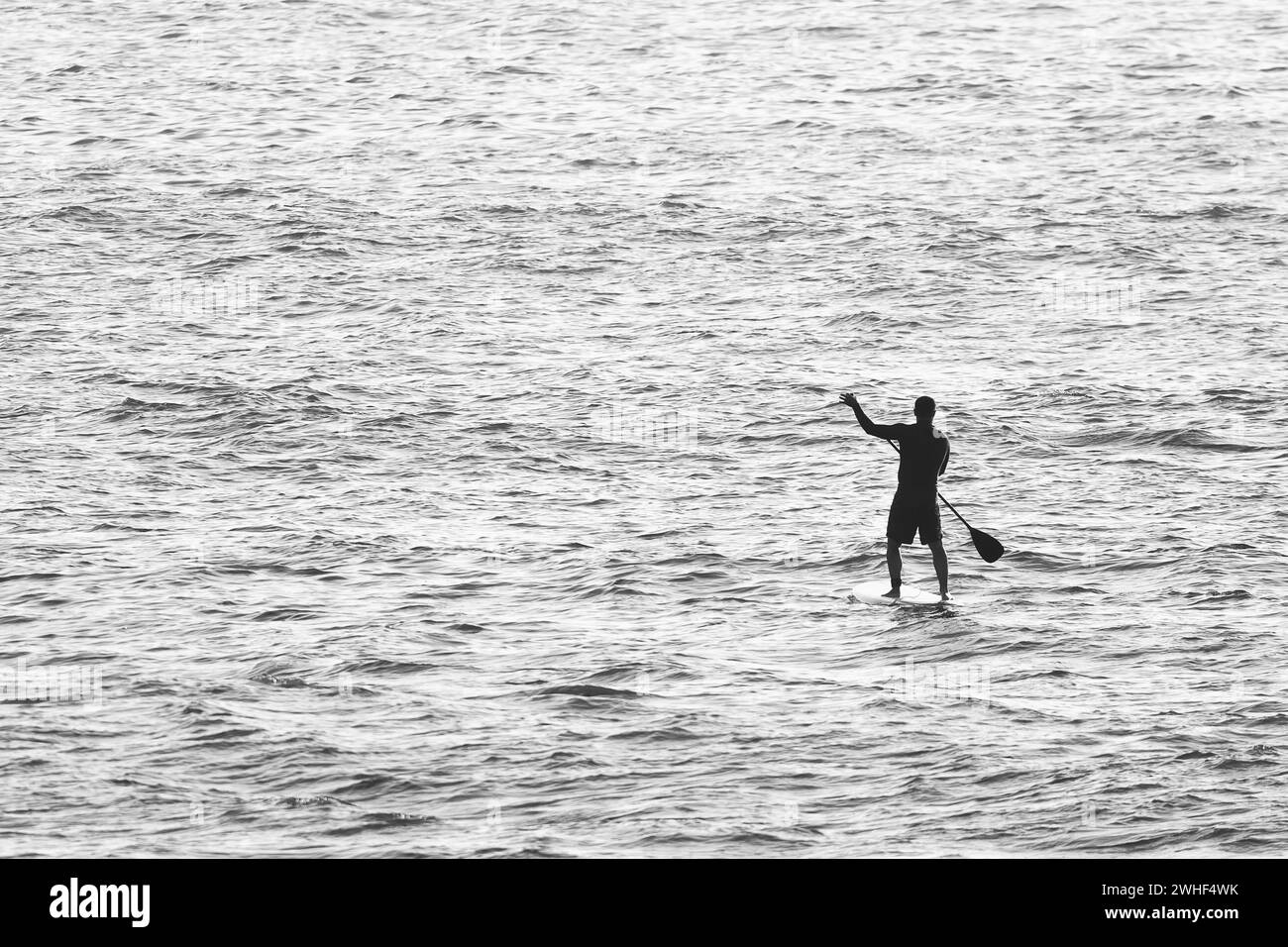 Hombre en Stand Up Paddle Board Foto de stock