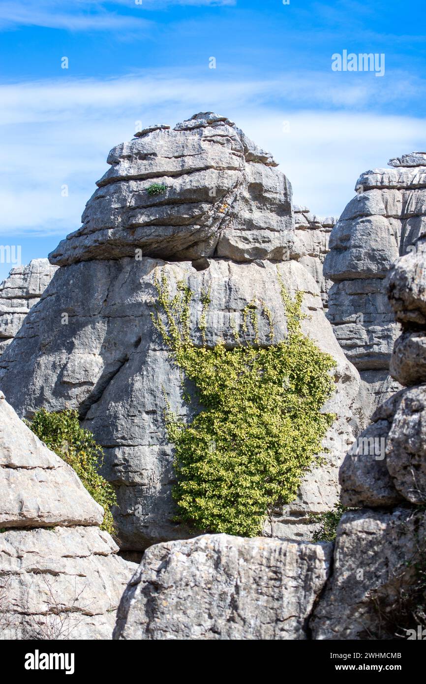 Senderismo por el Parque Nacional Torcal de Antequerra, formaciones rocosas de piedra caliza y conocido por las formas de paisaje kárstico inusuales en Andalucía, Málaga, España. Foto de stock