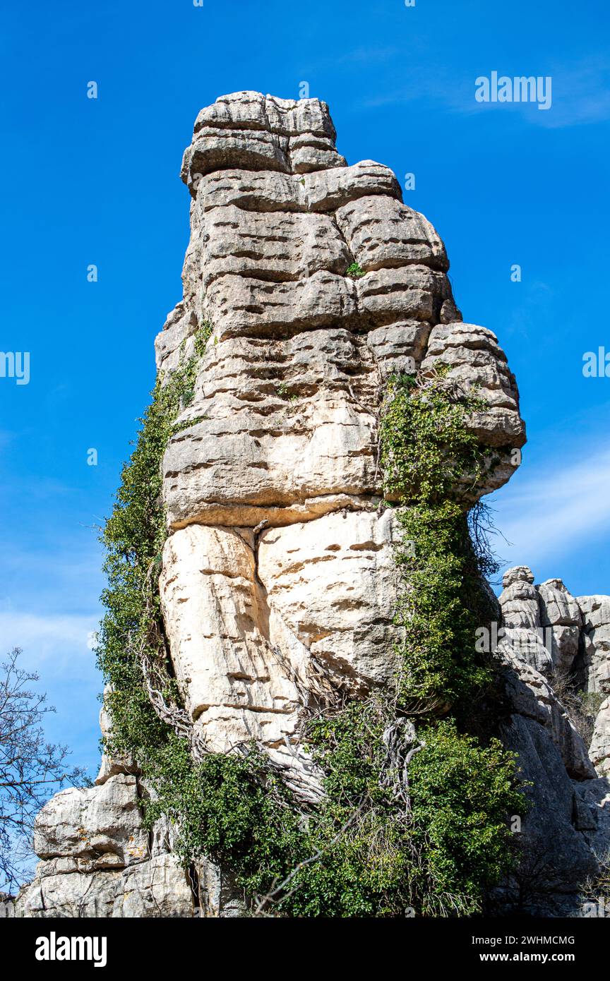 Senderismo por el Parque Nacional Torcal de Antequerra, formaciones rocosas de piedra caliza y conocido por las formas de paisaje kárstico inusuales en Andalucía, Málaga, España. Foto de stock