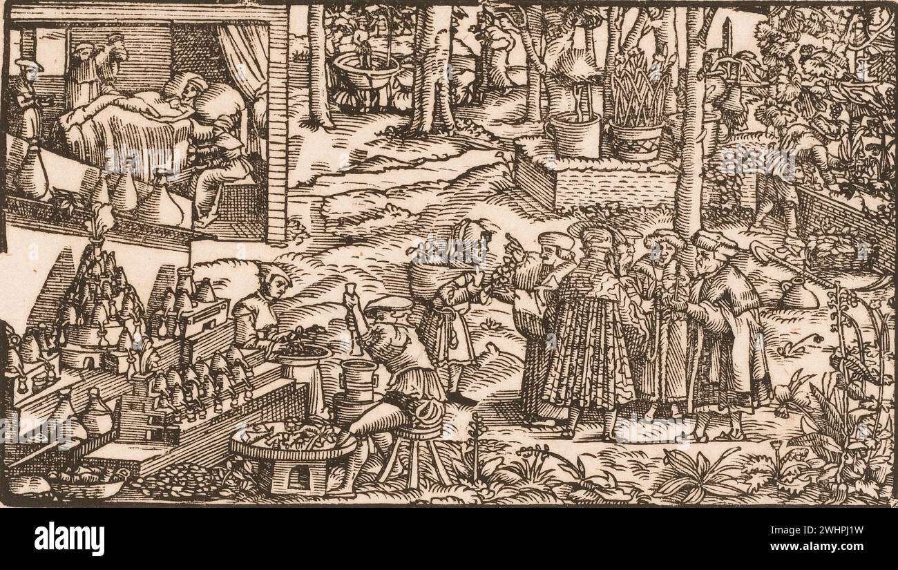 Ilustración de la producción de vino y otras bebidas medicinales 1620 Foto de stock