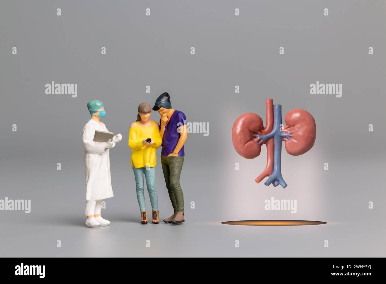 Médico que estudia y trata el riñón humano, concepto del Día Mundial de la Salud Foto de stock